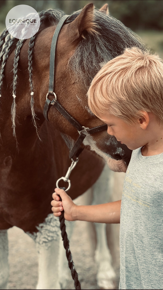 Pony love