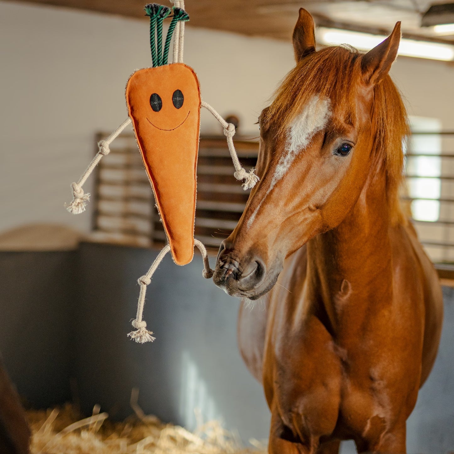 Horse Toy Carrot