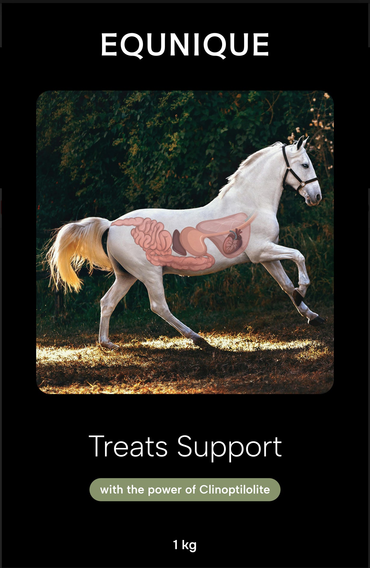 Treats Support