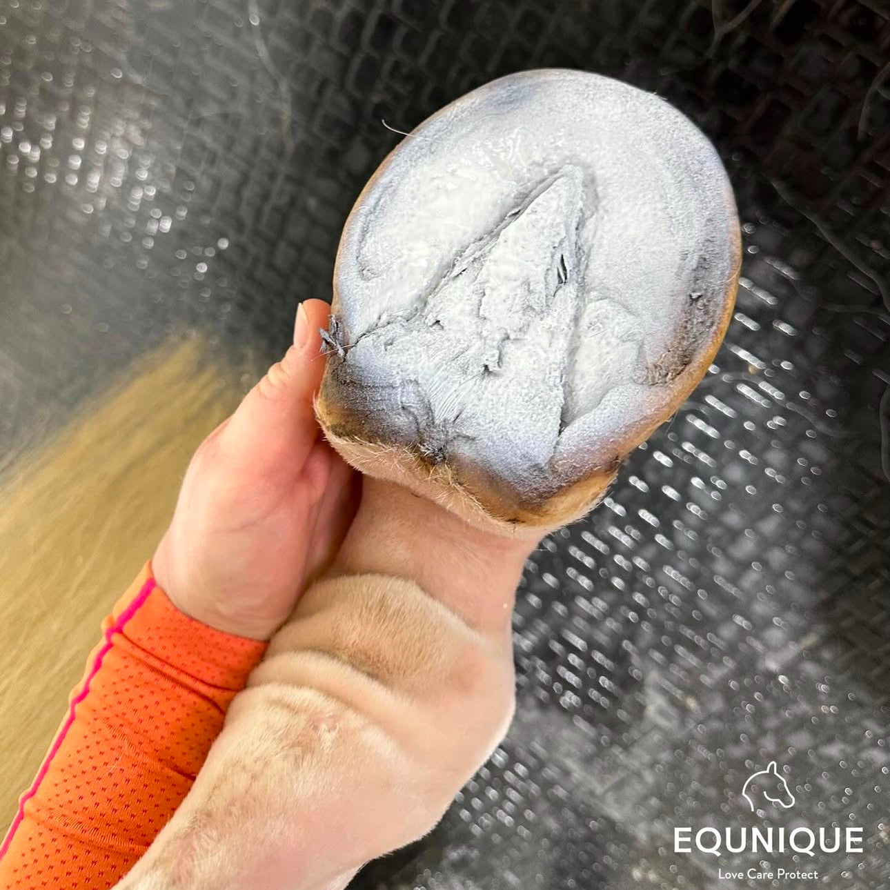 EQUNIQUE® Zink Spray for Hoof & Skin