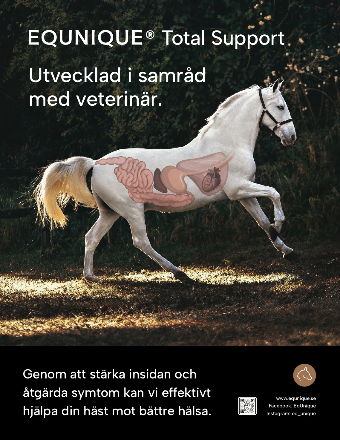 EQUNIQUE Total Support introduktion