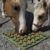 Alfombra de enriquecimiento EQUNIQUE para caballos
