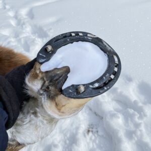 !LEVERANS SKER TIDIGAST V.13! - Hoof Snow Pellets Pads