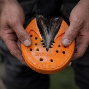 Glue On Barefoot Pad - 2 pcs