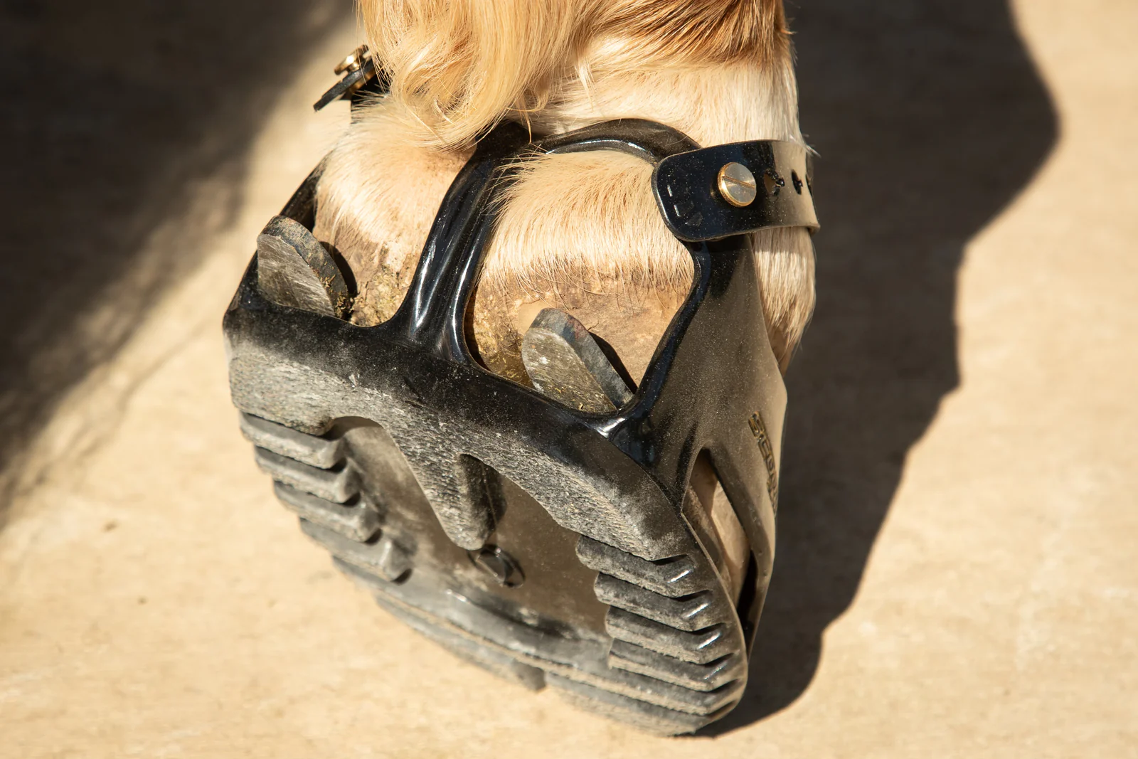 Scoot Boots över sliders