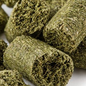 EQUNIQUE Treats Support – hästgodis med klinoptilolit, närbild på pellets