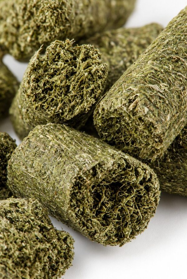 EQUNIQUE Treats Support – hästgodis med klinoptilolit, närbild på pellets