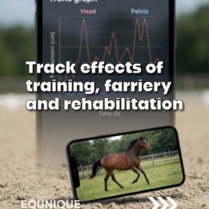 Objective gait analysis of a horse with Sleip